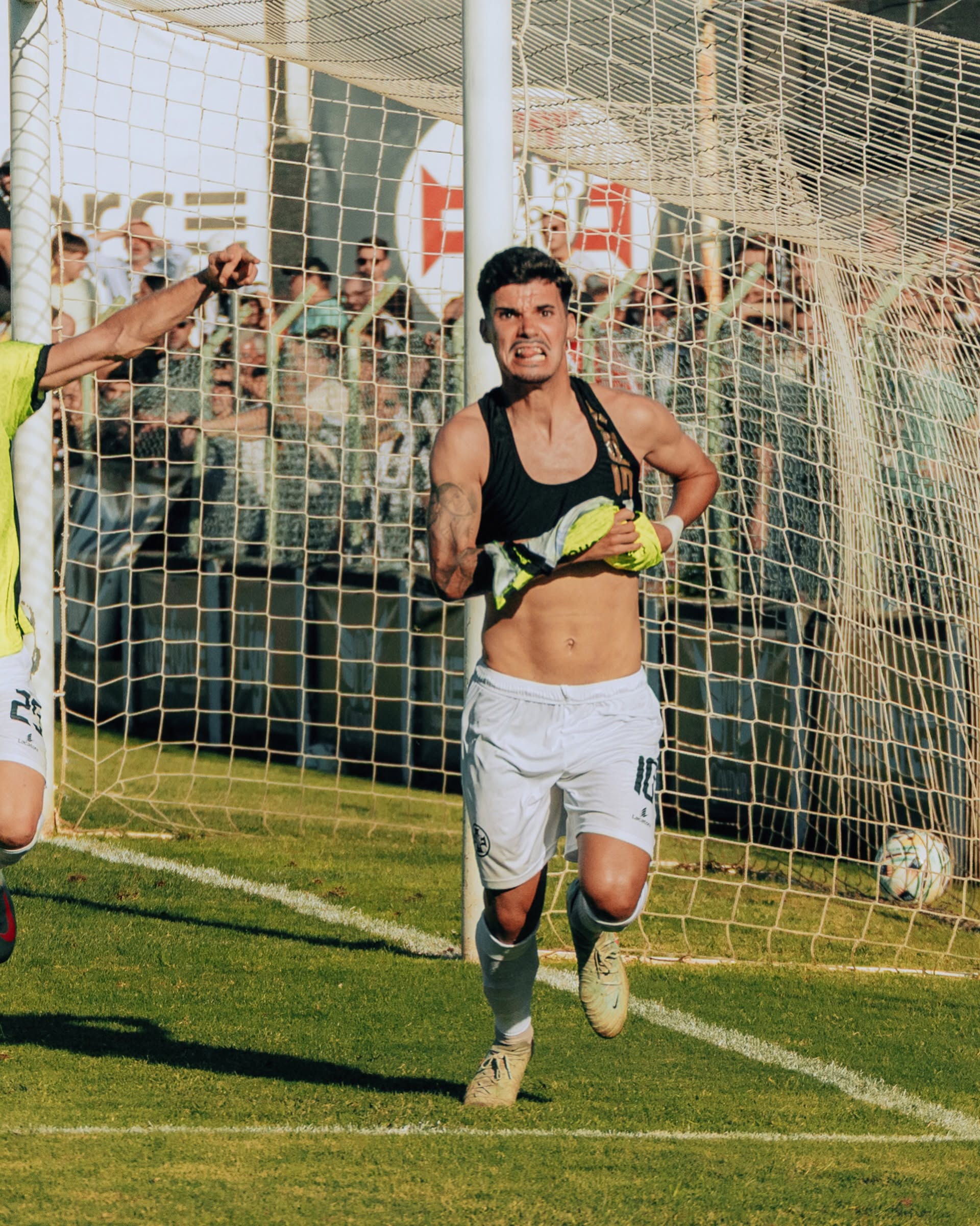 Obrigado por tudo, Campeões